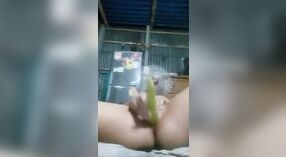 Vidéo de sexe bangla mettant en vedette une belle fille se masturbant avec des légumes 5 minute 20 sec