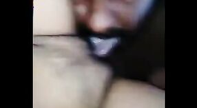 Bibi Hout lan sekutu dheweke melu jinis india sensual ing video porno iki 8 min 20 sec