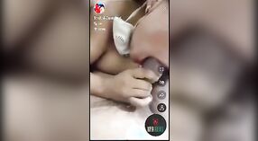 Pasangan Desi amatir menikmati seks anal yang keras di livecam di karantina 4 min 40 sec
