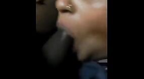 Horny wife gives a quick blowjob to her husband in this Indian sex video 0 min 0 sec