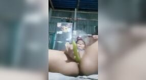 البنغالية الجنس الفيديو ميزات الفتاة العادة السرية مع الخضار 4 دقيقة 50 ثانية