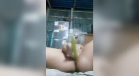 В секс-видео Банглы девушка мастурбирует овощем 5 минута 20 сек