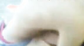 অপেশাদার কিশোর অশ্লীল ভিডিওতে একটি বক্রী মেয়ে তার প্রেমিককে একটি ব্লজব দিচ্ছে এবং তার বন্ধুদের সামনে তার সাথে যৌন মিলন করেছে 2 মিন 00 সেকেন্ড