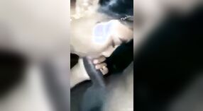 Desi Dehati amantes entrar em fumegante fellatio vídeo 1 minuto 50 SEC