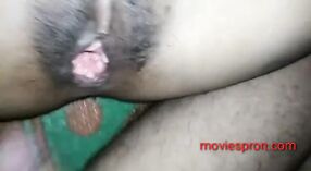 بھارتی نوجوان لڑکی اس کی بلی اور گدا اندھیرے میں بمباری ہو جاتا ہے 2 کم از کم 50 سیکنڈ