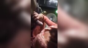 Tampilan close-up dari seorang gadis kulit hitam seksi memberikan blowjob kepada seorang pria yang beruntung 0 min 0 sec