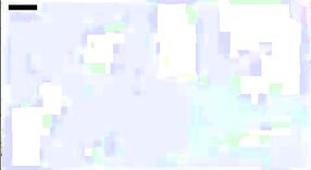 ಅಹಮದಾಬಾದ್ನಲ್ಲಿ ಹಳೆಯ ದೇಸಿ ಹೆಂಡತಿಯೊಂದಿಗೆ ಎಂಎಂಎಸ್ ಭಾರತೀಯ ಸೆಕ್ಸ್ 0 ನಿಮಿಷ 0 ಸೆಕೆಂಡು