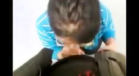 Indian college girl in a hot blowjob video from Chandigarh! 0 min 0 sec
