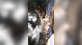 Bhabhi moglie gode di un sensuale giro su un grosso cazzo dopo aver dato un pompino 0 min 40 sec