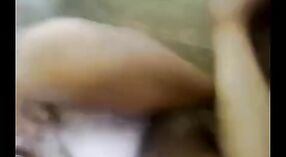 ভারতীয় মিশনারি দম্পতি প্রথমবারের মতো হোম সেক্স অন্বেষণ করে 0 মিন 0 সেকেন্ড
