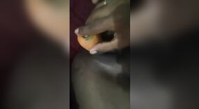 Bhabi do Sul da Índia gosta de brincar com cenoura enquanto se masturba 4 minuto 50 SEC
