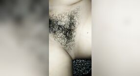Remaja dengan vagina berbulu mendapatkan pengalaman XXX pertamanya saat juru kamera mengambil alih 0 min 0 sec