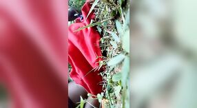 Desi seks video featuring Lawley en haar partner in de groene gras 3 min 00 sec