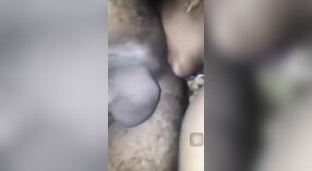 Một cô gái sừng được ass của cô giật ra và sau đó được fucked 1 tối thiểu 30 sn