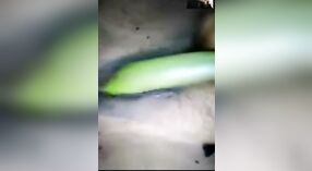 chairavali's homemade video of her using vegetables to masturbate 2 min 00 sec