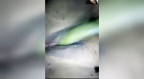 chairavali ' s zelfgemaakte video van haar met behulp van groenten om te masturberen 2 min 40 sec
