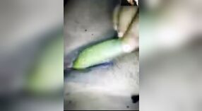 हस्तमैथुन करने के लिए सब्जियों का उपयोग करते हुए चिरावली का घर का बना वीडियो 3 मिन 00 एसईसी