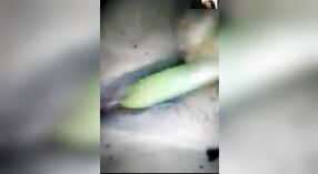 chairavali's homemade video of her using vegetables to masturbate 3 min 20 sec
