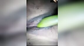 हस्तमैथुन करने के लिए सब्जियों का उपयोग करते हुए चिरावली का घर का बना वीडियो 3 मिन 40 एसईसी