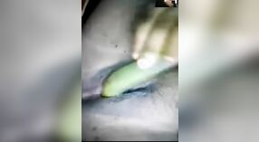 chairavali ' s zelfgemaakte video van haar met behulp van groenten om te masturberen 4 min 00 sec