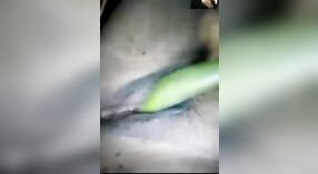 chairavali ' s zelfgemaakte video van haar met behulp van groenten om te masturberen 4 min 20 sec