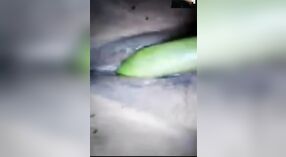 chairavali ' s zelfgemaakte video van haar met behulp van groenten om te masturberen 1 min 00 sec