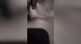 迪斯姨妈和一个巨大的猫在镜头上顽皮 4 敏 20 sec