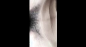 विलीन झालेल्या व्हिडिओमध्ये गुलाबी मांजर आणि गाढव प्रेमीने मारले 1 मिन 40 सेकंद