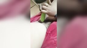 Unsatisfied bhabhi uses vegetables for masturbation 2 min 00 sec