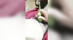 Unsatisfied bhabhi uses vegetables for masturbation 2 min 20 sec