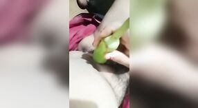 Unsatisfied bhabhi uses vegetables for masturbation 2 min 30 sec