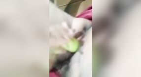 Unsatisfied bhabhi uses vegetables for masturbation 0 min 0 sec