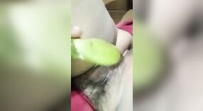 Unsatisfied bhabhi uses vegetables for masturbation 0 min 40 sec