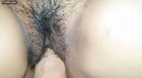 Seksi Bengalce bebek ile bir büyük kedi içinde buharlı video 7 dakika 00 saniyelik