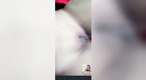 Kucing Bhabhi bakal ditarik luwih saka sepisan 1 min 30 sec