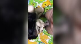 Chica Desi le hace una mamada a su novio en un video filtrado. 4 mín. 00 sec