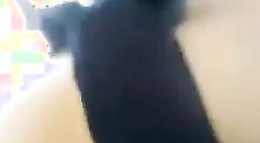 テルグ語の毛むくじゃらのプスは乗馬のビデオで喜ばれます 7 分 50 秒