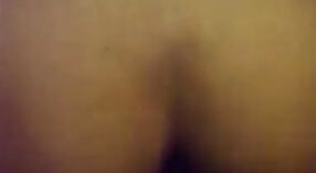Sima sax vídeo apresenta jovem morena se masturbando no banco de trás 3 minuto 20 SEC