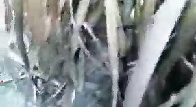 வந்தனாவின் சிற்றின்ப மூவிக் வெளிப்புற அமைப்பில் சூடான இந்திய குழந்தையைக் கொண்டுள்ளது 1 நிமிடம் 40 நொடி