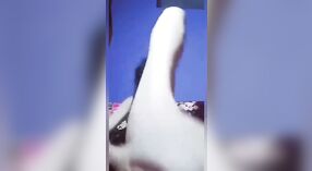 Bangla sesso video caratteristiche Desi studente masturbarsi con un XXX giocattolo su webcam 1 min 40 sec