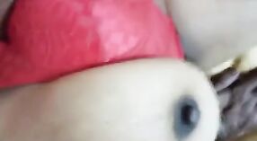 Nena india de gran culo recibe su coño empujado dentro de su vagina con fuerza cancerosa 5 mín. 00 sec