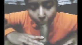 Un estudiante universitario en una película porno Desi hace una mamada experta 5 mín. 20 sec