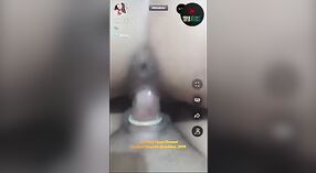 Un couple pakistanais se livre à une putain de chatte chaude et à une masturbation au concombre 15 minute 30 sec