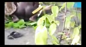 பிளாக் கேர்ள் கிராமத்தில் வெளிப்புற உடலுறவை அனுபவிக்கிறார் 0 நிமிடம் 0 நொடி