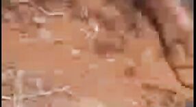 దేశీ విలేజ్ మహిళ అరణ్యంలో కఠినమైన సెక్స్ ఆనందిస్తుంది 0 మిన్ 30 సెకను
