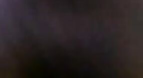 தெளிவான ஆடியோ தரத்துடன், பூங்காவில் வெளிப்புற ரோம்ப் பெங்காலி காதலர்கள் 1 நிமிடம் 50 நொடி