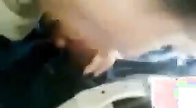 Desi coppie chiaro audio auto sesso video 8 min 20 sec