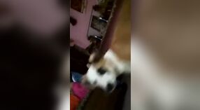 Ama de casa tetona comparte MMS explícitos al estilo perrito 1 mín. 20 sec