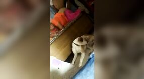 Die vollbusige Hausfrau teilt explizite MMS im Doggy -Stil 1 min 50 s