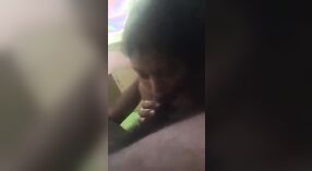 Une fille potelée du Sud de l'Inde fait une pipe bâclée à son petit ami 3 minute 20 sec